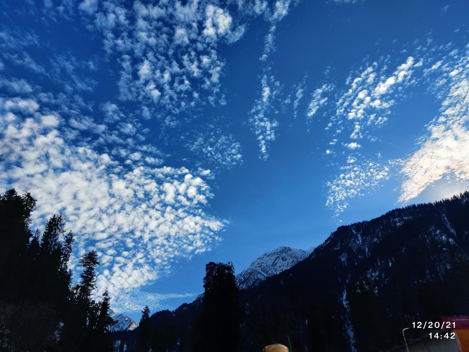 Clouds over pine forest and mountains